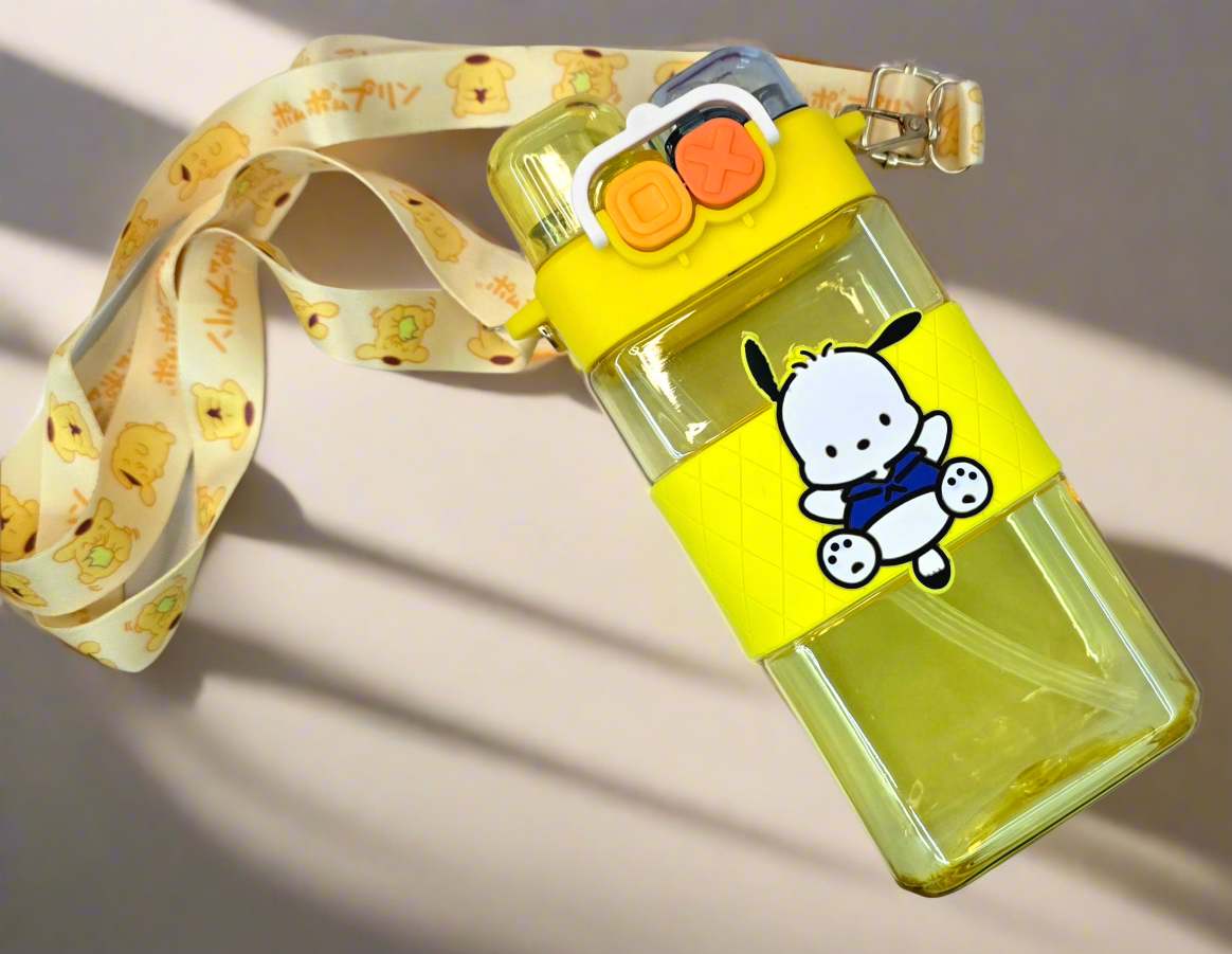Sanrio Water Bottle (550ml)