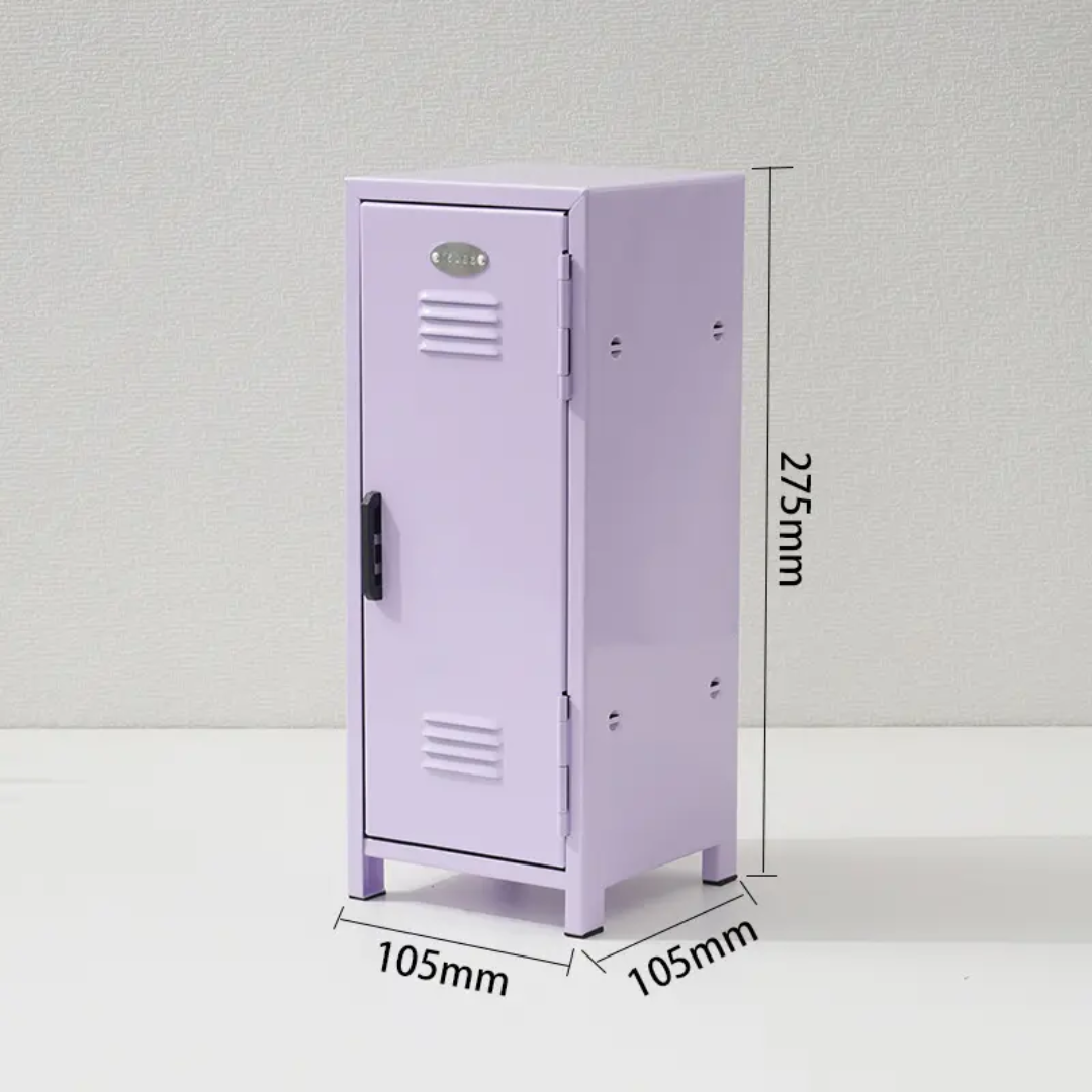 Mini Storage Locker