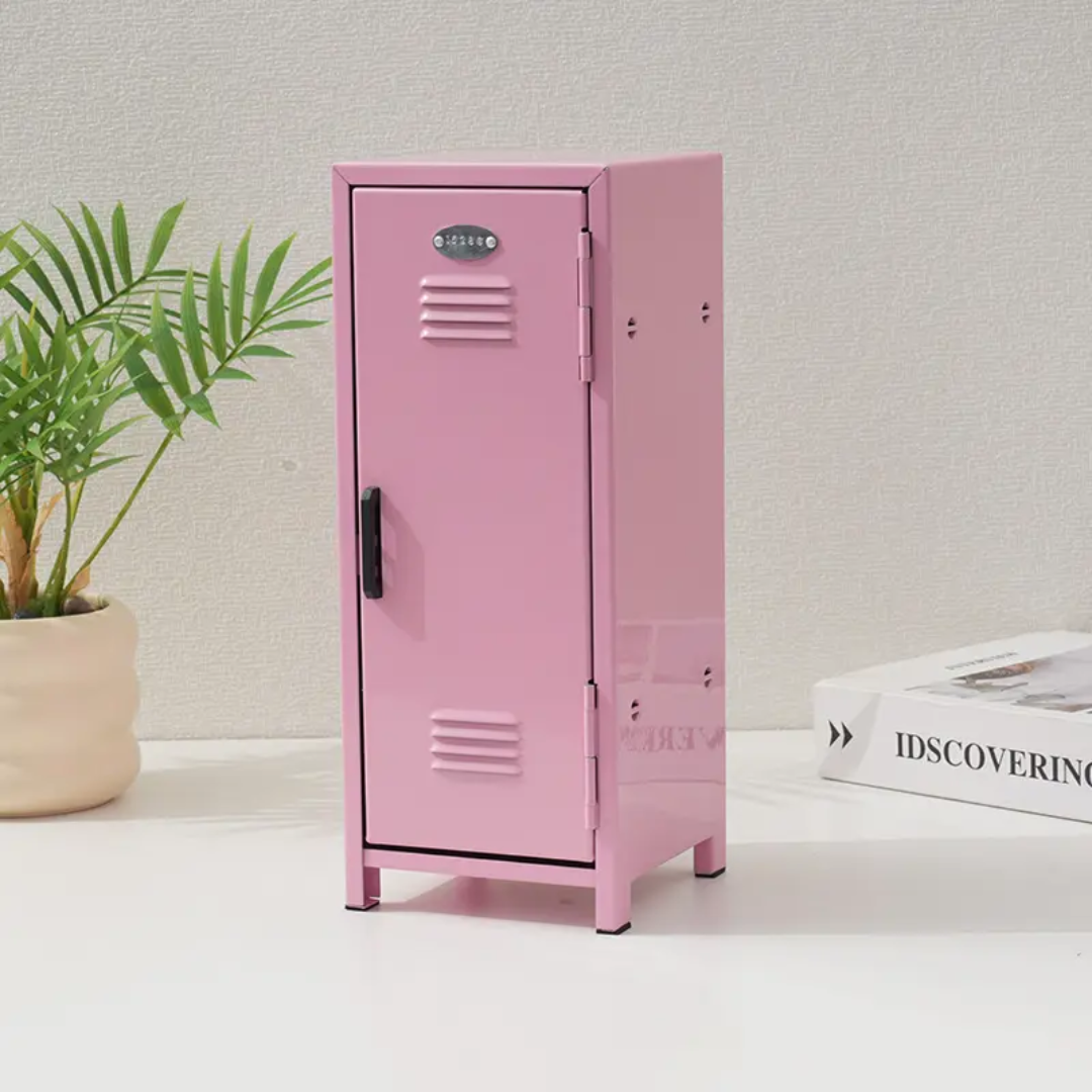 Mini Storage Locker