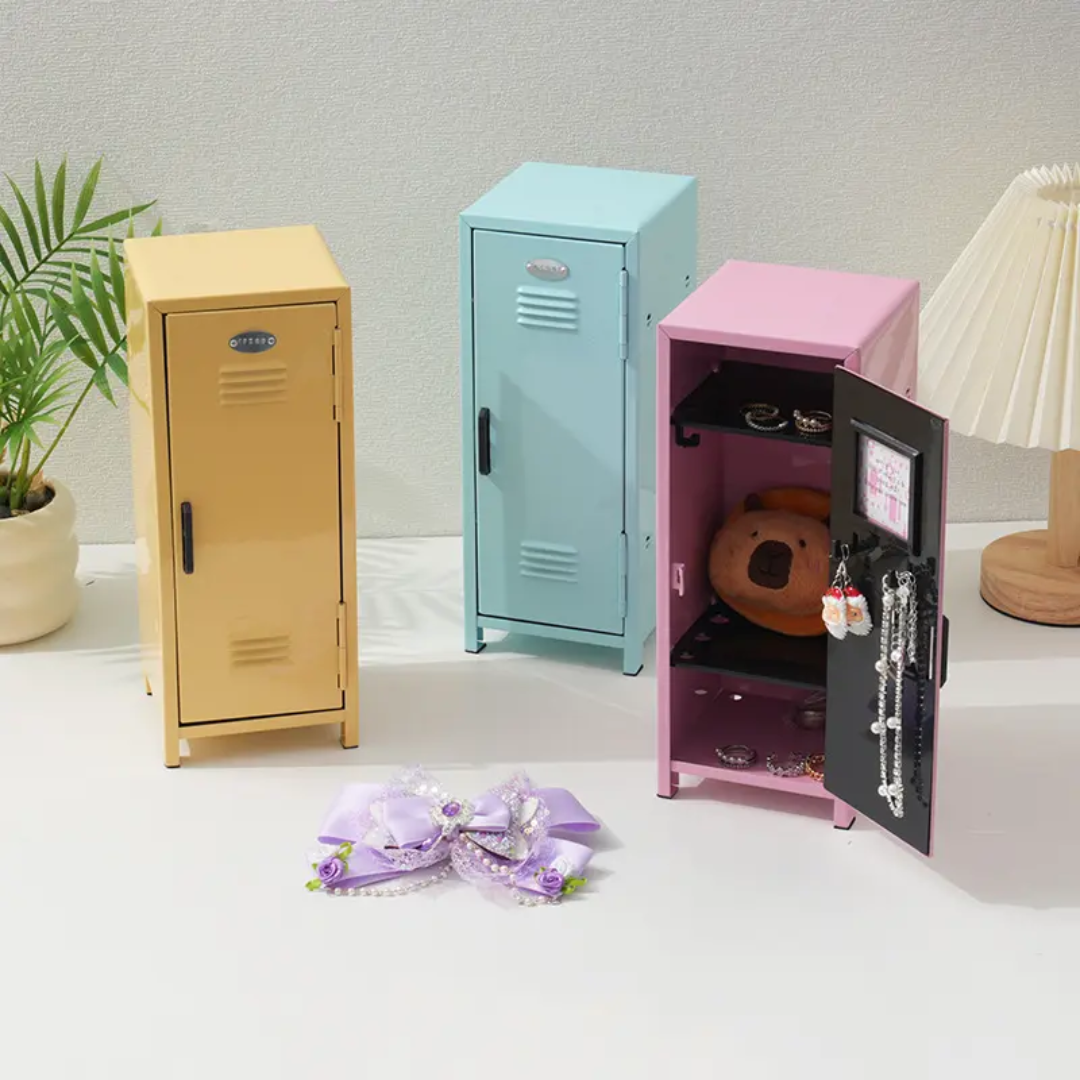 Mini Storage Locker