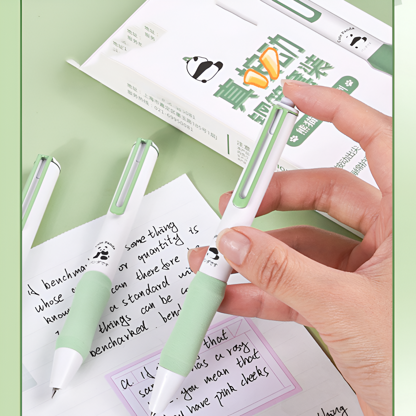 Panda Fountain Pen Set