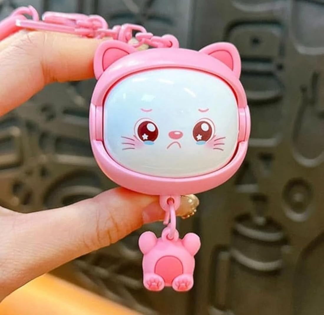 Animal Face Changing Keychain